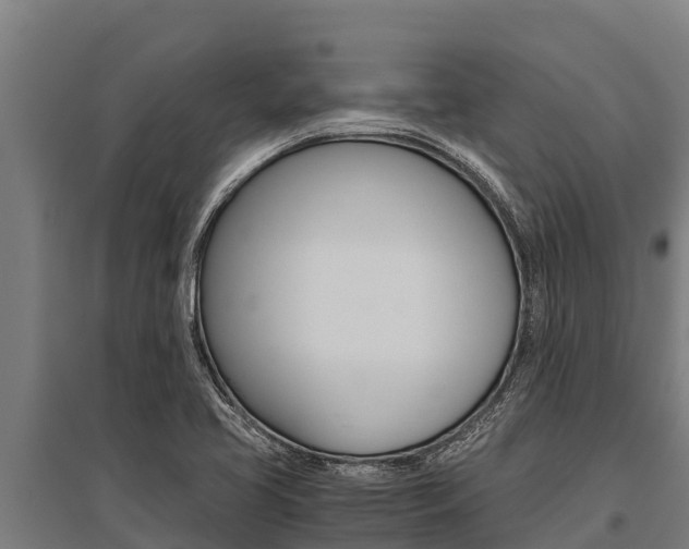 X0000096141413200801180841