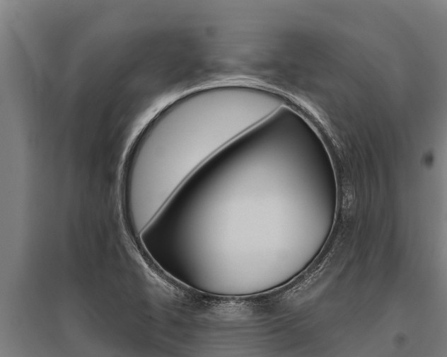 X0000096141414200801180841