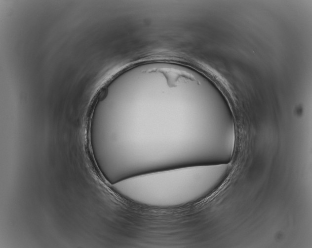 X0000096141415200801180841