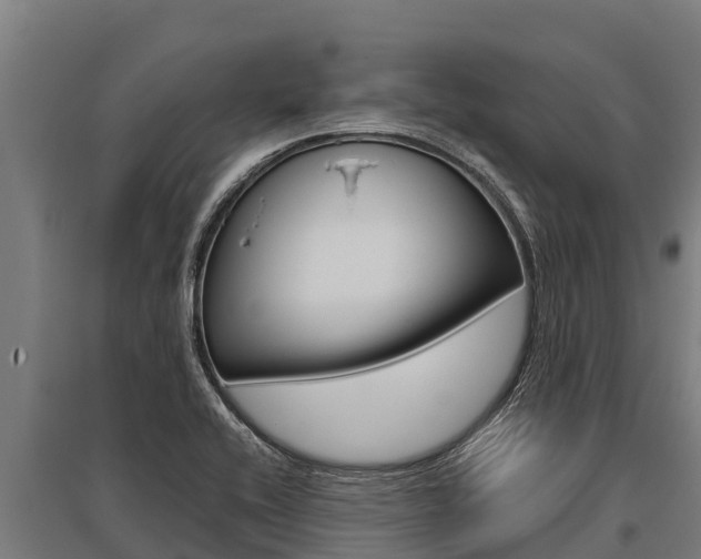 X0000096141416200801180842