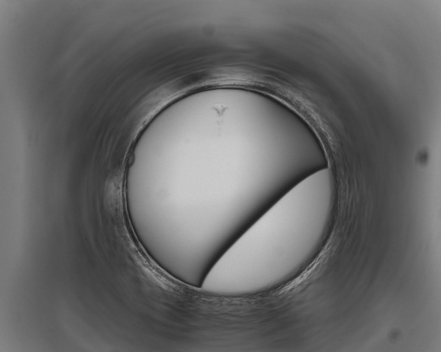 X0000096141417200801180842