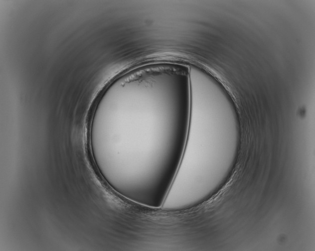 X0000096141418200801180842