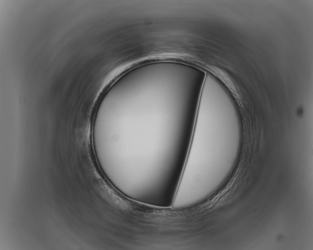 X0000096141420200801180842