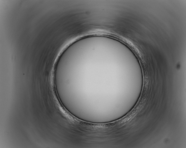 X0000096141421200801180842