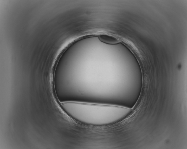 X0000096141424200801180842
