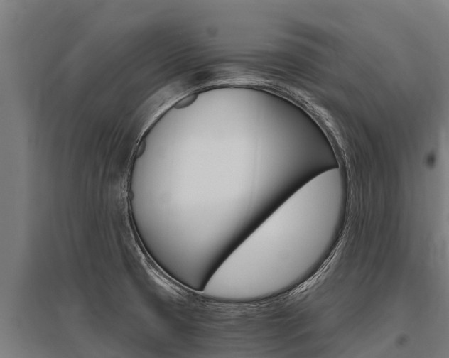 X0000096141425200801180842