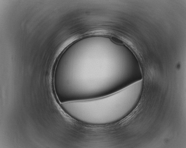 X0000096141426200801180842