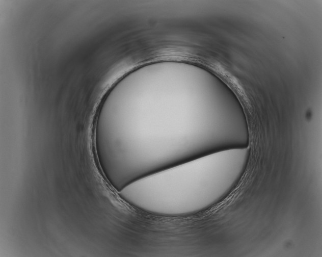X0000096141427200801180842