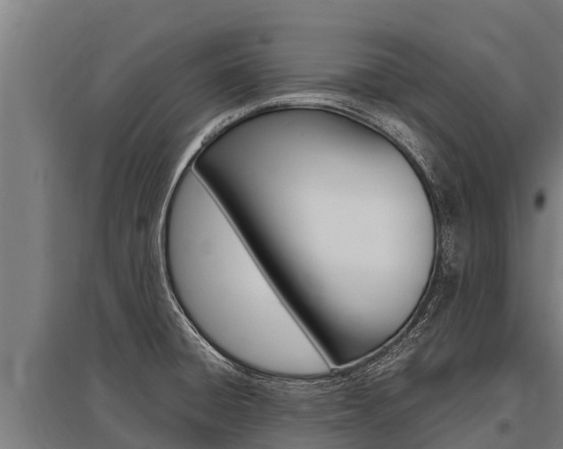 X0000096141428200801180842
