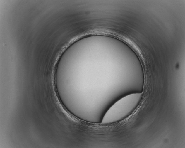 X0000096141429200801180842