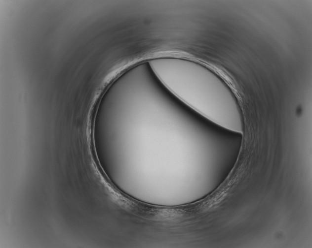 X0000096141430200801180842
