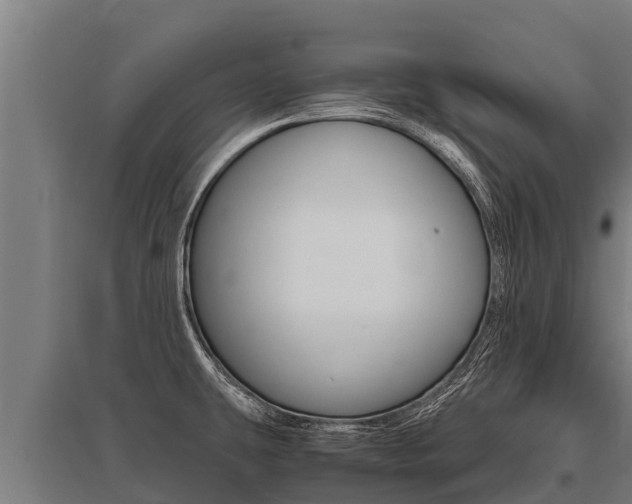 X0000096141431200801180842