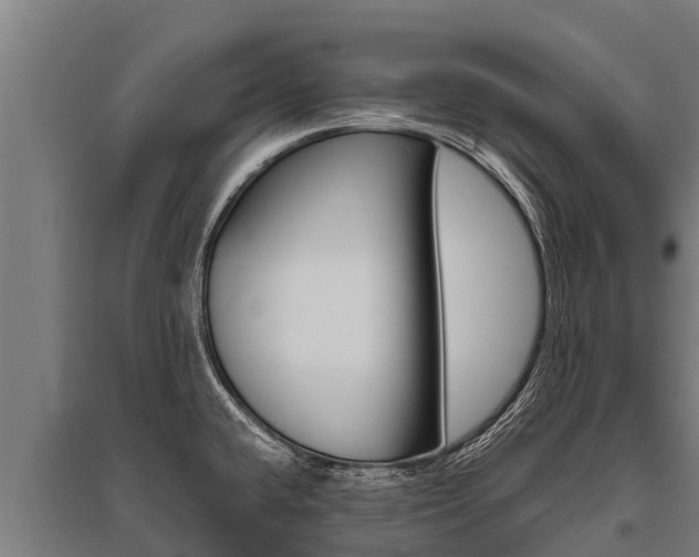 X0000096141432200801180842