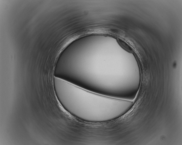X0000096141433200801180842
