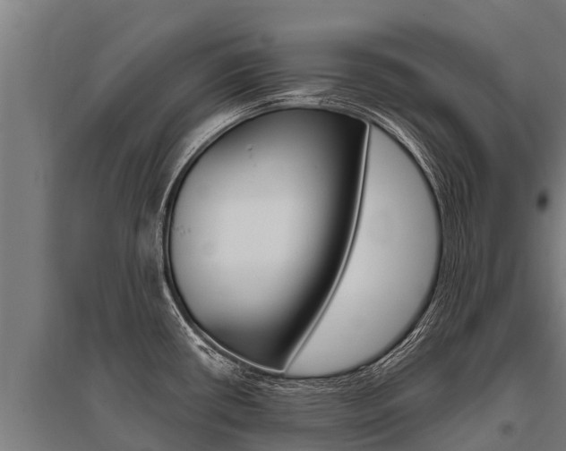 X0000096141434200801180842