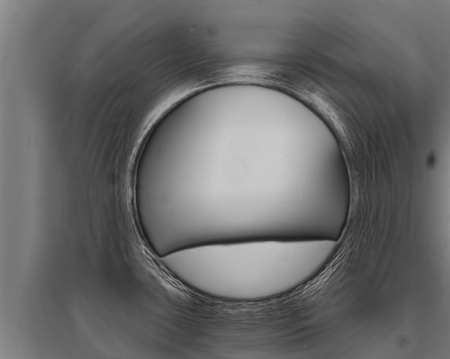 X0000096141435200801180842