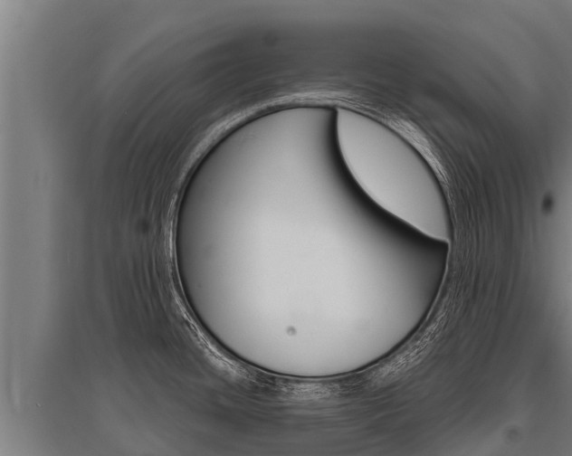 X0000096141436200801180842
