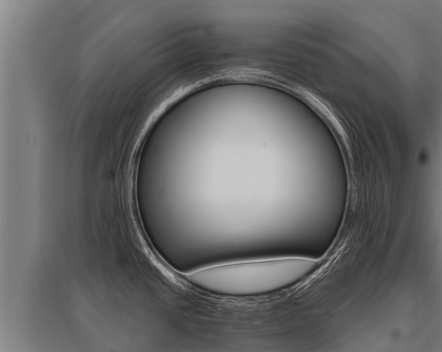 X0000096141437200801180842