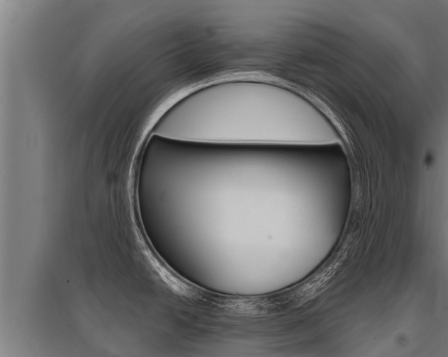 X0000096141438200801180842