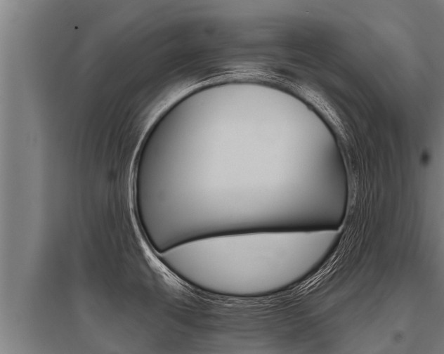 X0000096141439200801180842