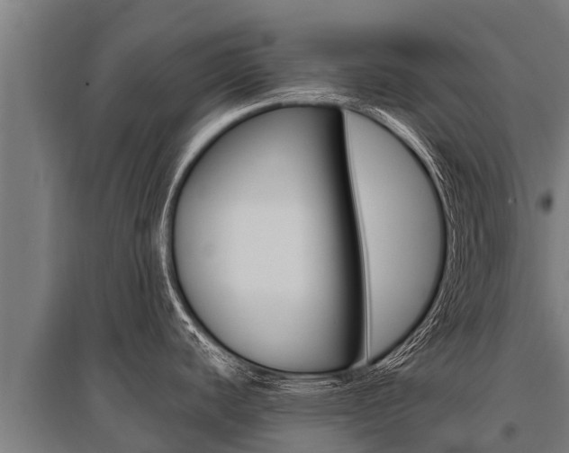 X0000096141440200801180842