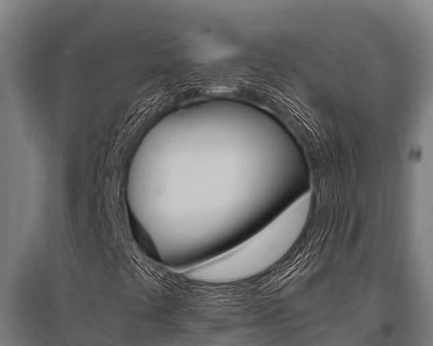 X0000096141441200801180841