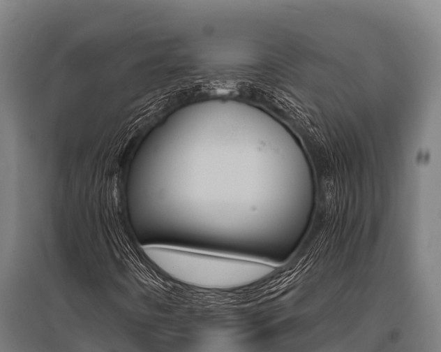 X0000096141442200801180841