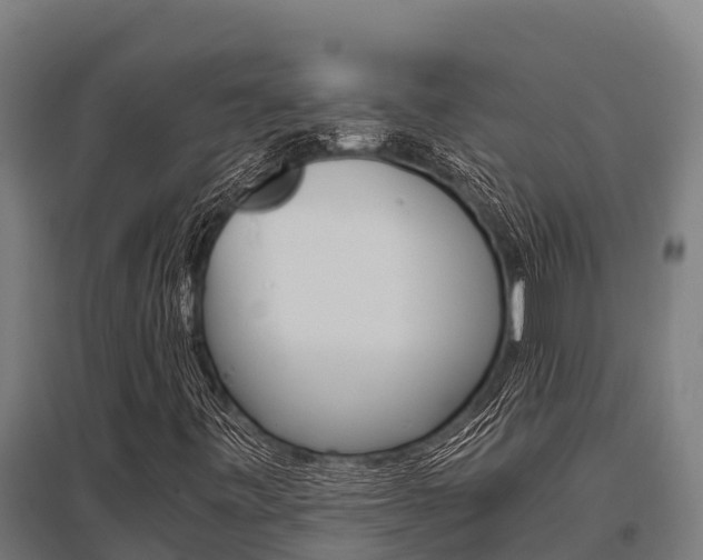 X0000096141443200801180841
