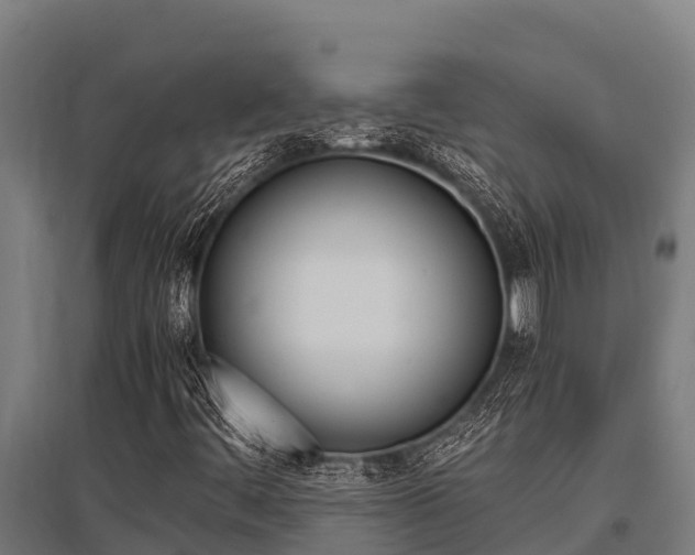 X0000096141444200801180841