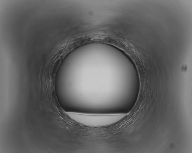 X0000096141445200801180841