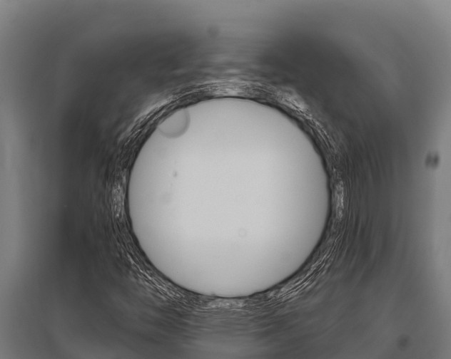 X0000096141446200801180841