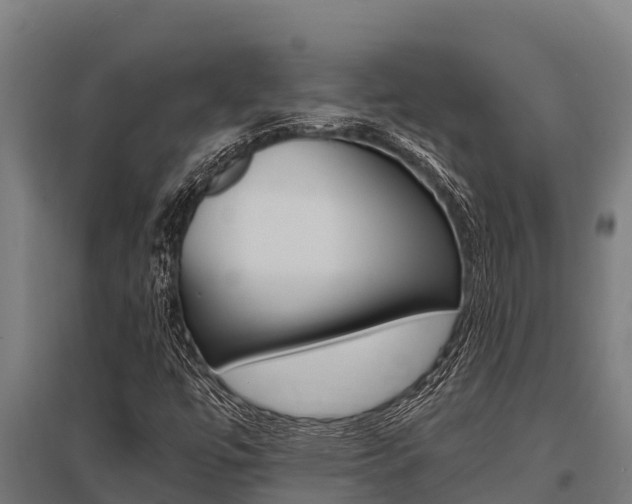 X0000096141447200801180841