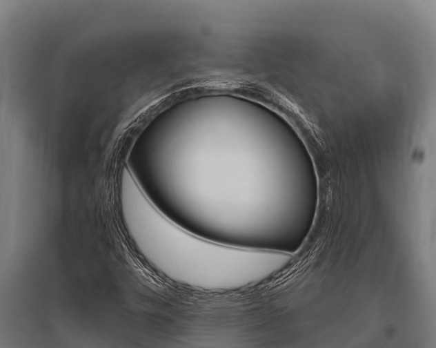 X0000096141448200801180841