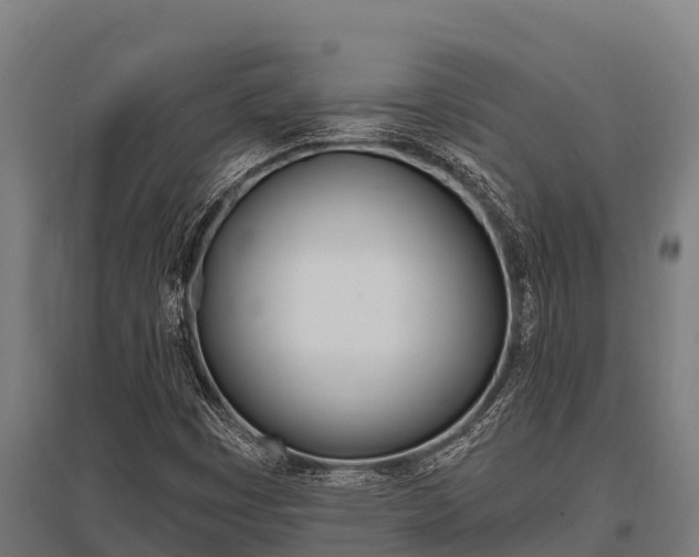 X0000096141449200801180841
