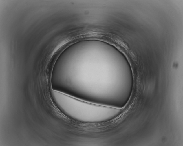 X0000096141450200801180841