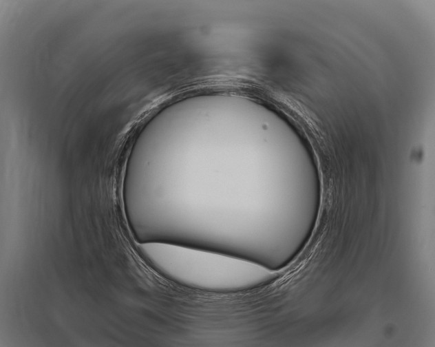 X0000096141451200801180841