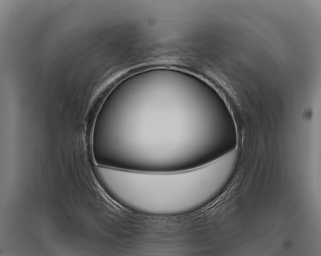 X0000096141452200801180841