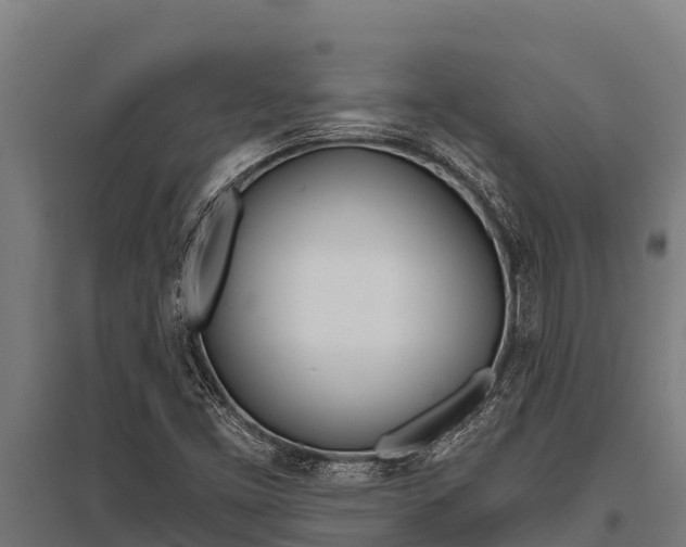 X0000096141453200801180841