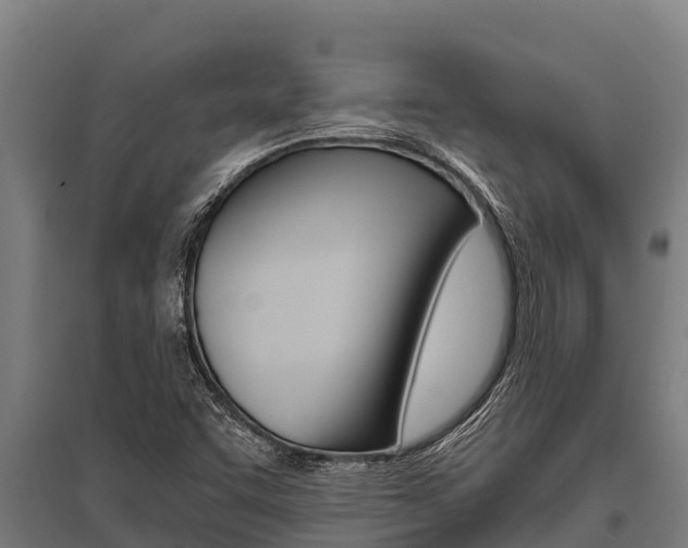X0000096141455200801180841
