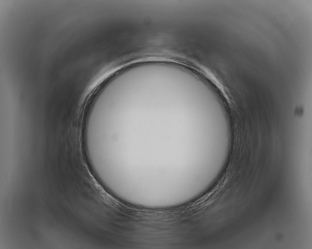 X0000096141456200801180841