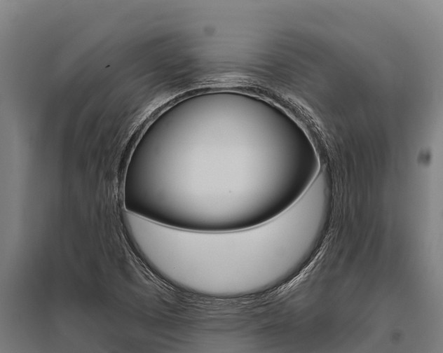X0000096141457200801180841