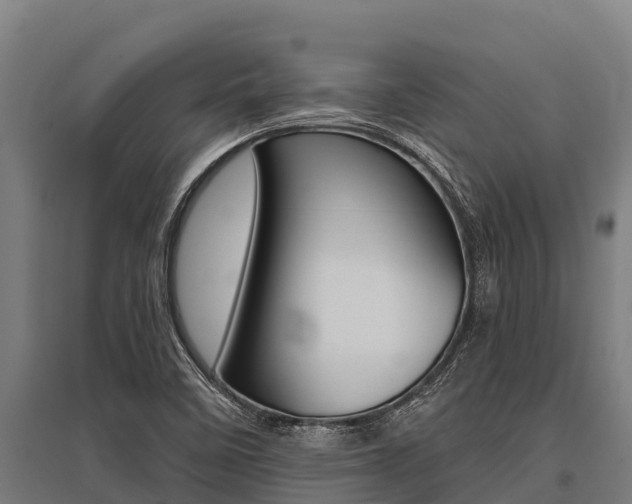 X0000096141458200801180841