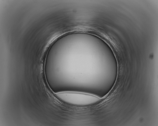 X0000096141459200801180841