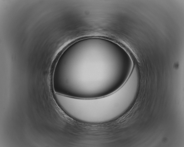 X0000096141460200801180841