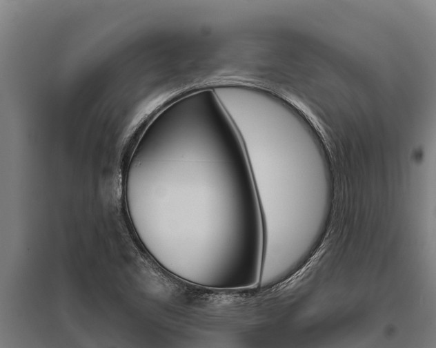 X0000096141461200801180841