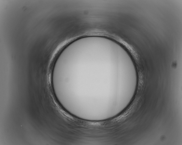 X0000096141462200801180841