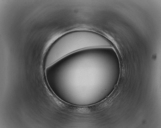 X0000096141464200801180841