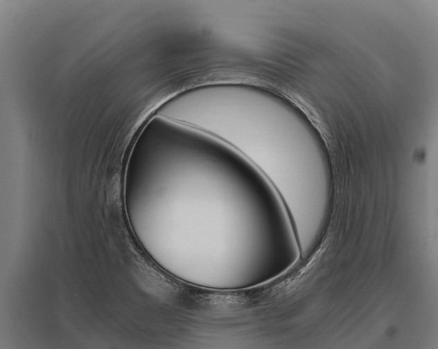 X0000096141465200801180841