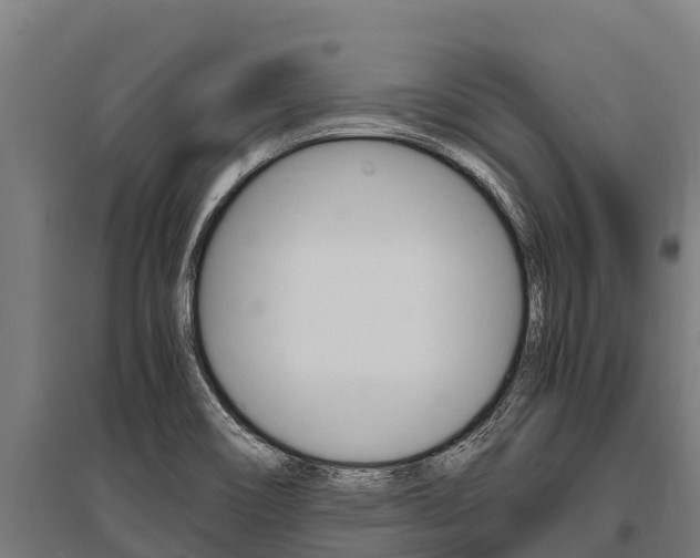 X0000096141466200801180841
