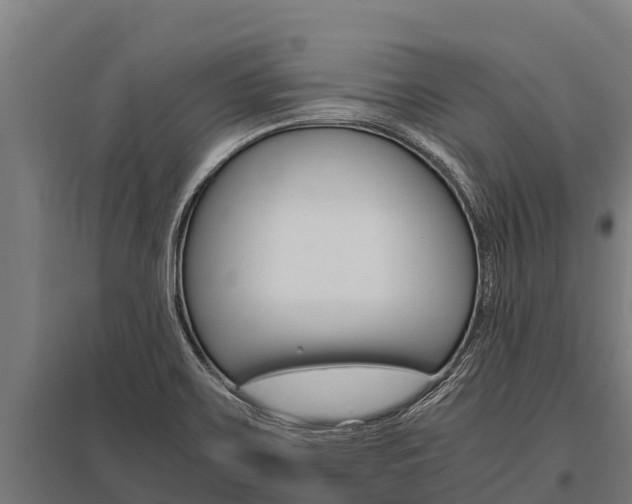 X0000096141467200801180841